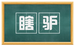 瞎驴