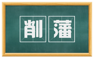 削藩