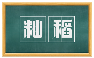 籼稻
