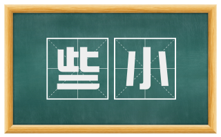 些小