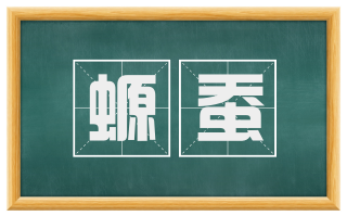 螈蚕