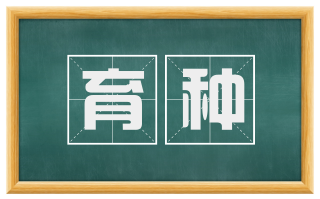 育种