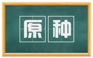 原种
