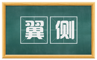 翼侧