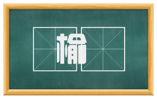 榆筴