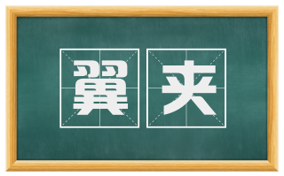 翼夹