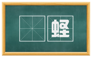 螠蛏