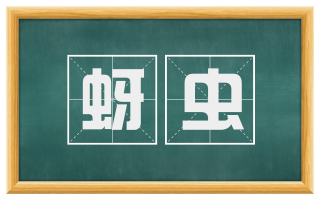 蚜虫