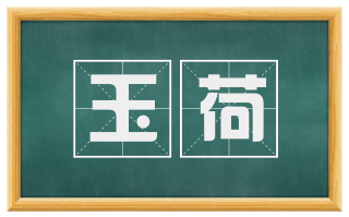 玉荷