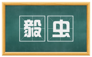 毅虫