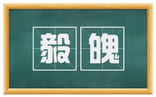 毅魄