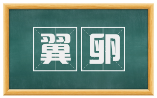翼卵
