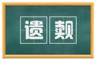 遗觌