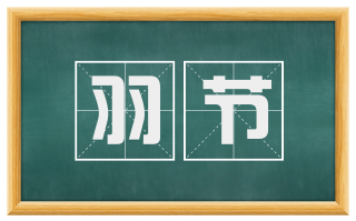羽节