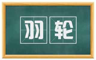 羽轮