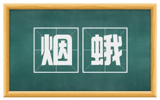 烟蛾