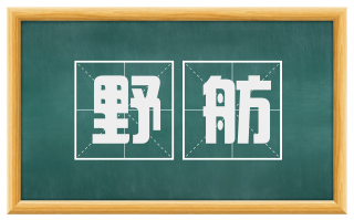 野舫