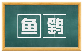 鱼鹞
