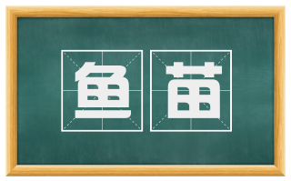 鱼苗