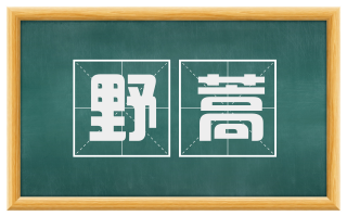 野蒿