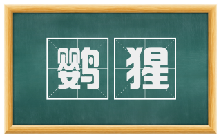 鹦猩