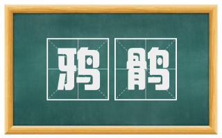 鸦鹘