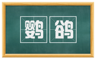 鹦鹆