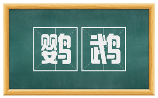鹦鹉