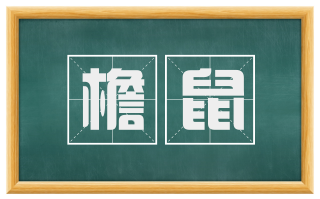 檐鼠
