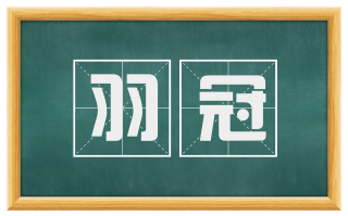 羽冠