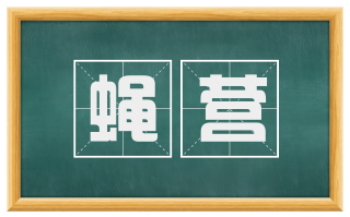蝇营