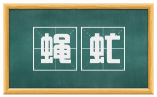 蝇虻