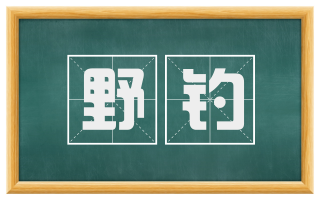 野钓