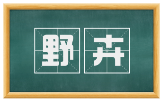 野卉