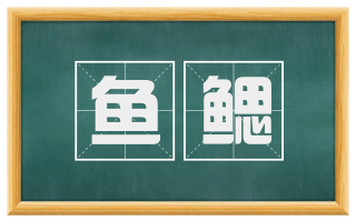 鱼鳃