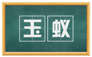 玉蚁