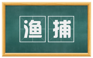 渔捕