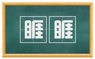 睚睚