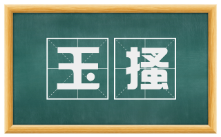 玉搔