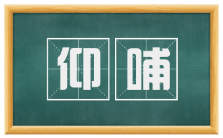 仰哺