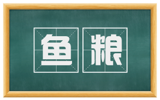 鱼粮
