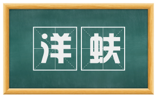 洋蚨