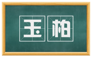 玉柏