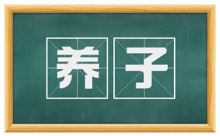 养子