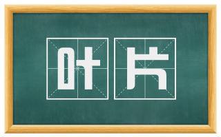叶片