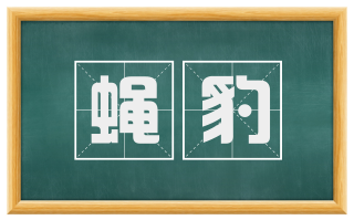 蝇豹