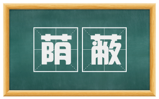 荫蔽
