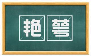 艳萼