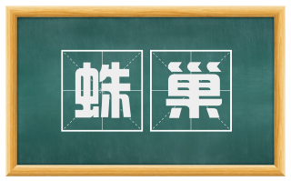 蛛巢