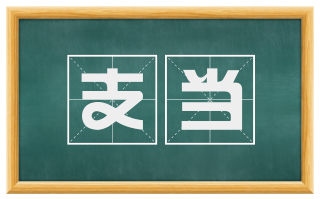 支当